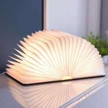 Charger l&#39;image dans la galerie, Lampe veilleuse livre lumineux